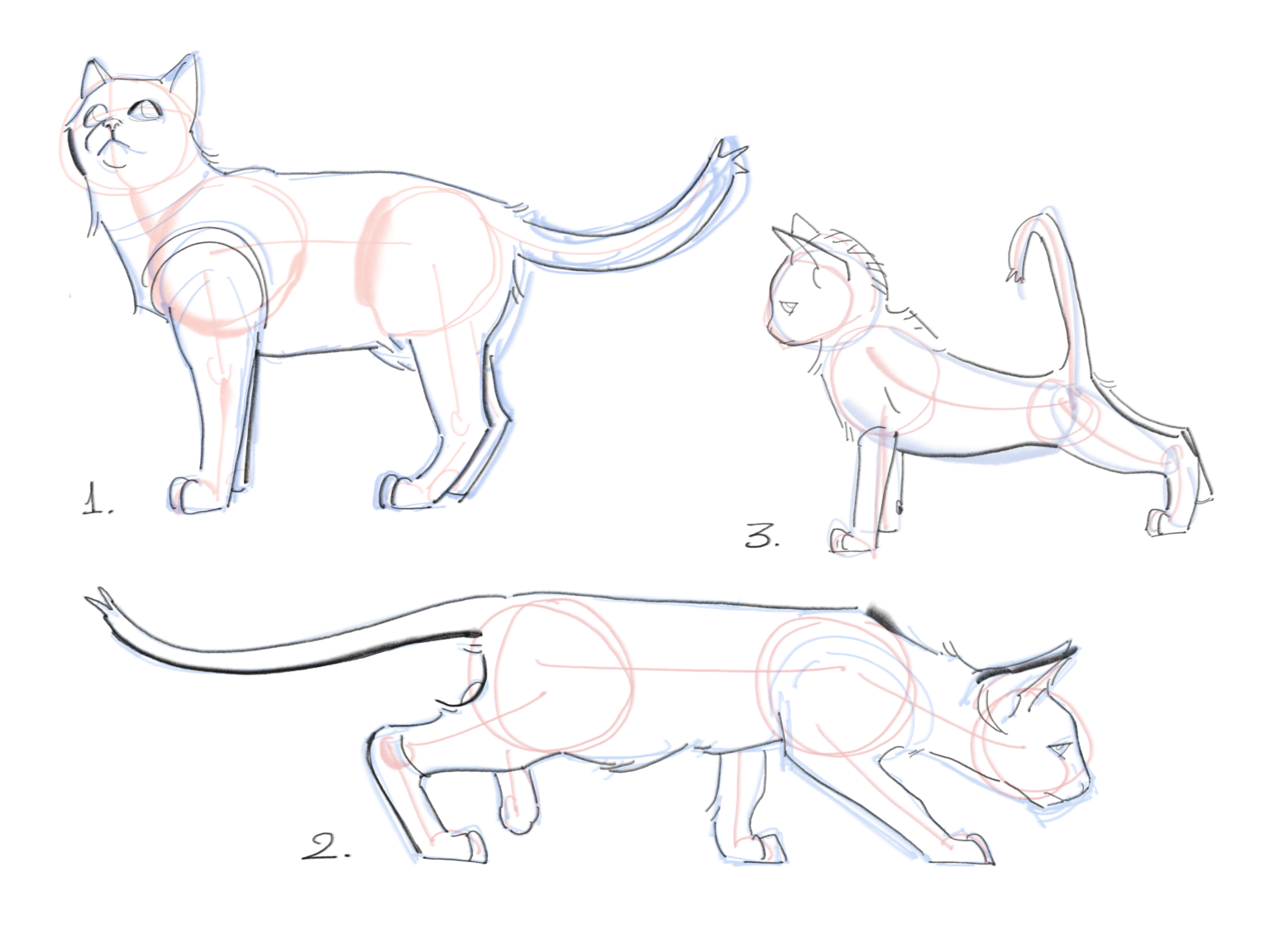 Ilustracion Sin Titulo 1536x1152