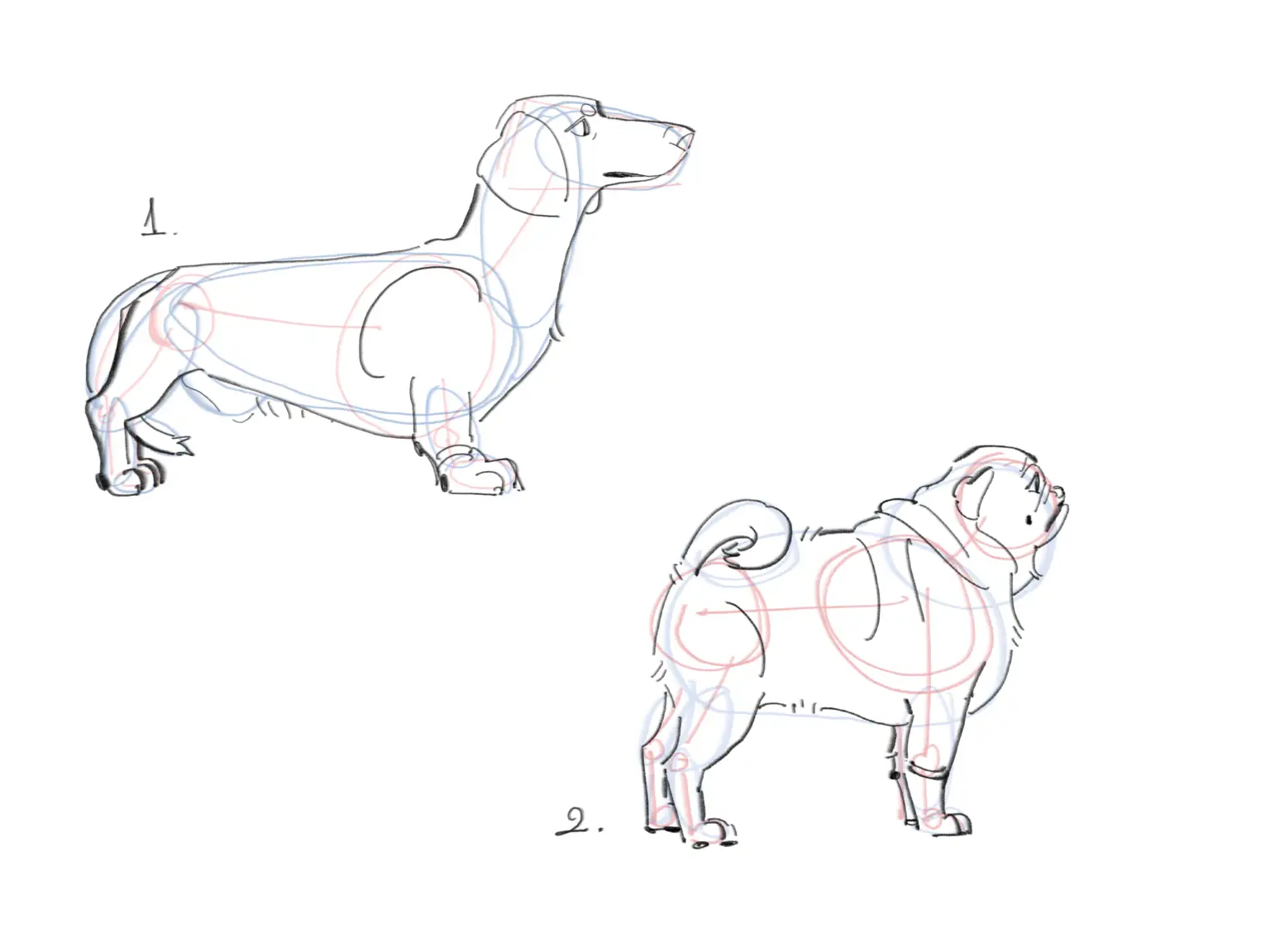 Ilustracion Sin Titulo 3 1536x1152